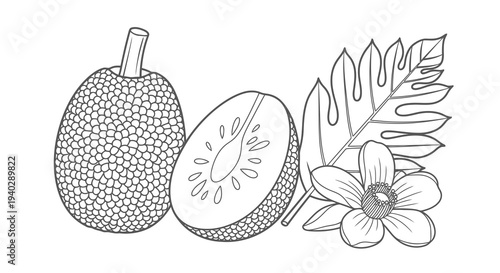 A simple black and white drawing of a fruit with a flower and leaves.