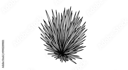 A minimalist black and white illustration of a plant with spiky leaves.