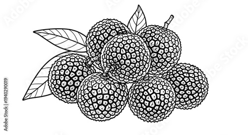 A detailed black and white drawing of a cluster of blackberries with leaves.