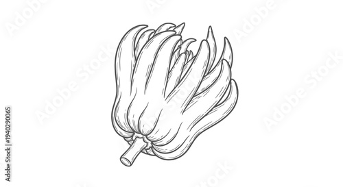 A simple black and white drawing of a cluster of bananas attached at the stem.