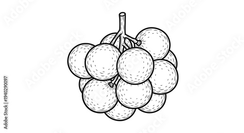 A simple black and white drawing of a cluster of grapes on a plain white background.