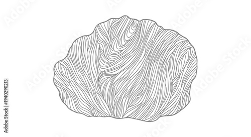 A detailed black and white drawing of a leafy green vegetable.