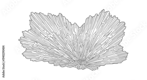 A detailed black and white illustration of a leaf with intricate details and a central stem.