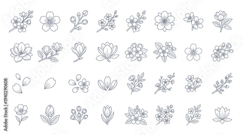 Illustration of various flowers and plants in different styles and arrangements, showcasing botanical beauty