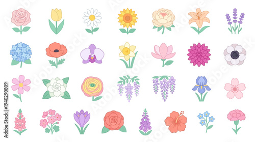 Vibrant floral illustrations collection featuring various flowers and plants in a clean and simple style