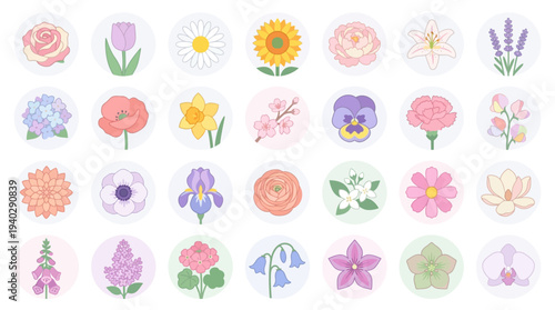 A collection of 20 different flowers illustrated in various pastel colors arranged in four rows on a plain surface