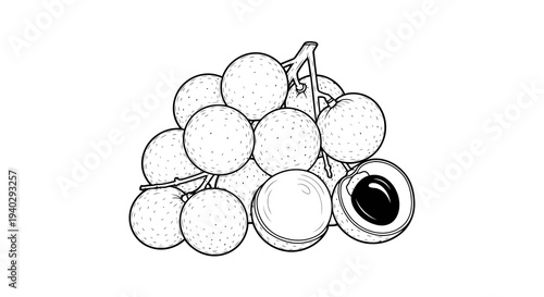 A simple black and white drawing of a cluster of grapes with one cut open.