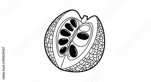 A detailed illustration of a pomegranate cut open to reveal its seeds.