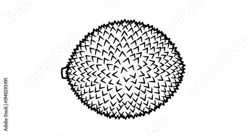 Intricate black and white illustration of a fruit or vegetable with a unique pattern.