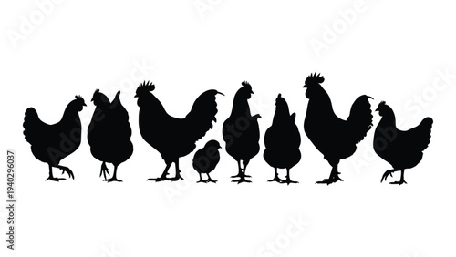 A group of chickens and a chick standing in a line