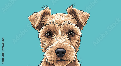 Detailed close up portrait of a brown terrier dog with a friendly and alert expression on a solid teal blue background.