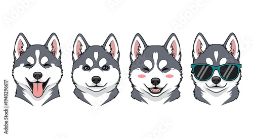 Set of four husky dog heads showing various expressions like winking, smiling, blushing, and wearing sunglasses for diverse design use.