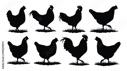 A group of chickens standing on grass