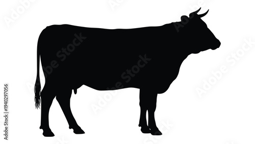 A black silhouette of a cow standing