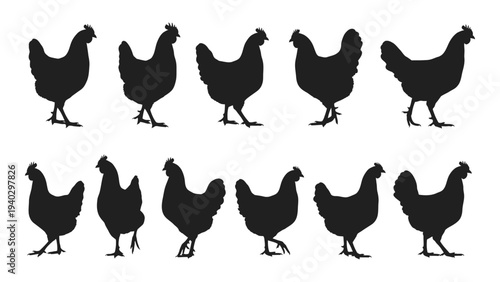 A group of black chicken silhouettes standing
