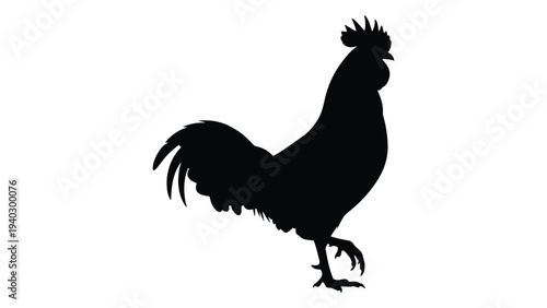 A black silhouette of a rooster standing on one leg