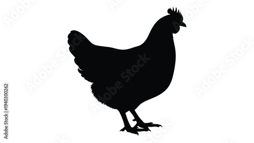 A black silhouette of a chicken standing on two legs
