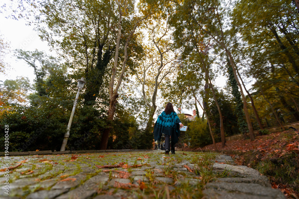 Obraz premium Located between Beşiktaş and Ortaköy, Yıldız Park, the largest grove in central Istanbul, offers visitors a magnificent natural and colorful experience right in the heart of the city.