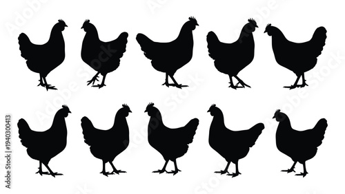 A group of chickens standing in two rows