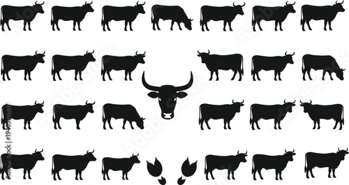 Black cow silhouettes set and cattle bull head with hoof prints vector collection isolated on white for farm animal dairy livestock meat industry design