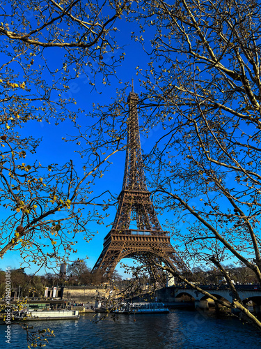The Eiffel Tower rises majestically against a bright blue sky, surrounded by bare branches. This iconic landmark stands tall over the serene river, showcasing the beauty of Paris.