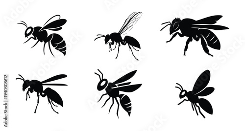 Set of 6 wasp silhouette icons, isolated on transparent and white background, vector