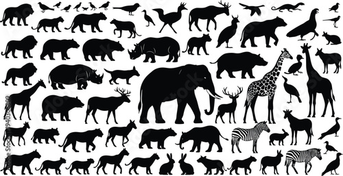 Silhouettes of diverse animals including lions, elephants, giraffes, birds, and mammals, showcasing biodiversity, wildlife identification, and educational illustration.