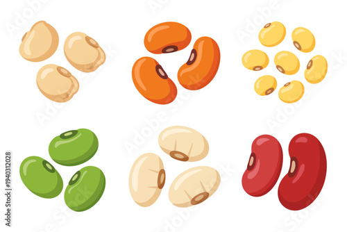 Variety of colorful bean types for culinary and nutritional uses