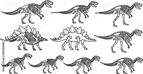 WebDinosaur Skeleton and Fossil Collection, Jurassic T-Rex and Stegosaurus Bone Structures, Paleontology Museum Exhibit, cad drawing flat vector illustration, Black