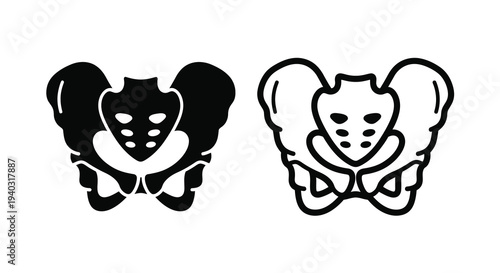Two human pelvic bones illustrated in contrasting styles silhouette