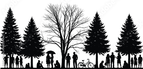 Black park silhouettes with people relaxing under pine and deciduous trees and riding a bicycle isolated on white background for outdoor design.