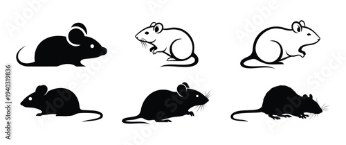 Set of 6 rat silhouettes icons, isolated on transparent and white background, vector