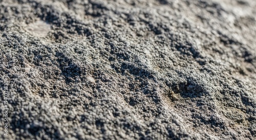 Close-Up of Textured Sandy Surface with Fine Grain Details in Natural Light