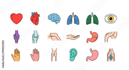 Collection of colorful flat icons representing human organs and body parts