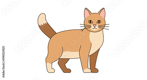 Cute cartoon ginger cat standing and looking forward with a white background