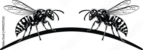 Set of two black and white hornet or wasp illustrations with detailed wings and stingers perched on a curved branch,