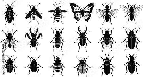 Large collection of black insect silhouettes including butterfly bee fly beetle cockroach and ant isolated on white background for nature design,