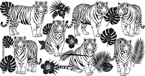 Tiger silhouette and line art set with tropical monstera leaves, jungle predator wildlife icons, exotic animal collection isolated on white,