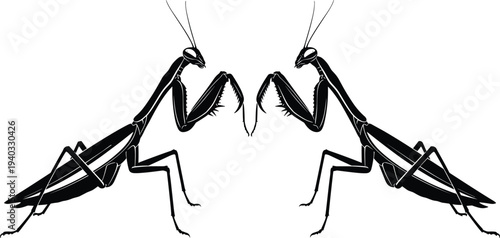 Praying mantis silhouette pair, mirrored symmetrical predatory insect, black vector illustration, wildlife nature macro bug, entomology isolated design icon clipart