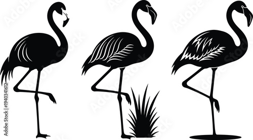 Three black silhouettes of flamingos standing on one leg, tropical birds, elegant pose