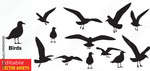 Obraz na płótnie Seabird Silhouette Vector Set – Flying and Standing Seagull Icons Collection