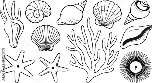 Vintage Ocean Shell Collection with Starfish Coral and Nautical Marine Elements Vector Illustration