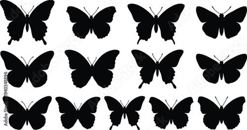 Butterfly silhouettes collection, flying butterfly insect poses set, black butterfly wing shapes, isolated nature vector illustration pack