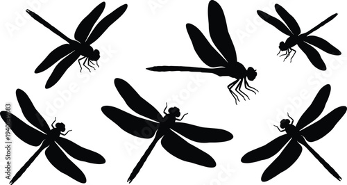 Dragonfly silhouettes collection, flying dragonfly insect poses set, black dragonfly wing shapes, isolated nature vector illustration pack
