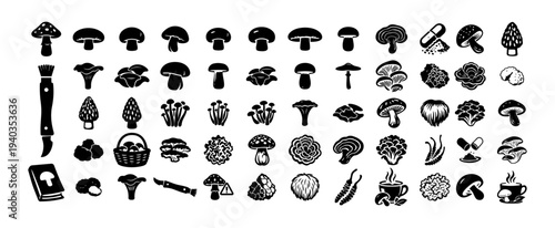 Mushroom Icons Collection – Wild, Culinary, Medicinal Fungi Silhouettes Set, Black Vector Mushroom Symbols