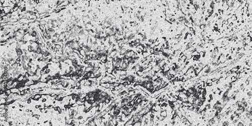 Detailed monochrome abstract texture with organic, interconnected shapes and a speckled surface, resembling a natural or biological pattern