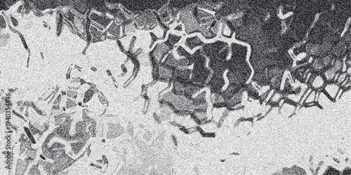 Abstract grayscale texture with a mosaic-like pattern of irregular, interconnected shapes and a speckled, granular surface