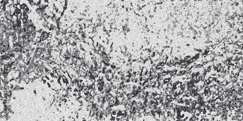 Grayscale abstract texture with a speckled, organic, and slightly mottled appearance resembling weathered concrete or a natural surface