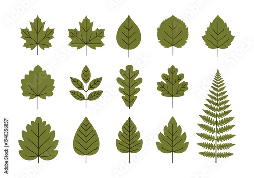 Flat design illustration vector of various green leaves on a white background, showcasing different shapes and styles in a simple composition.