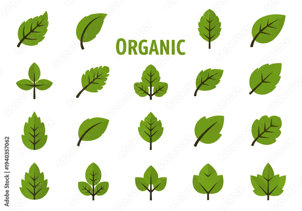 Fototapeta premium Flat design illustration vector of various green leaves with the word 'ORGANIC' on a white background.